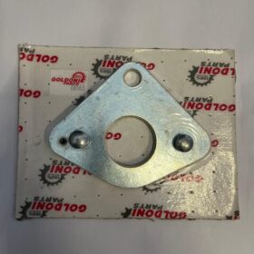 Flangia Coperchio PDF Completa Goldoni