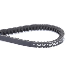 Cinghia Trapezoidale