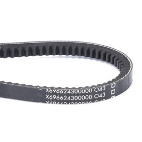 Cinghia Trapezoidale